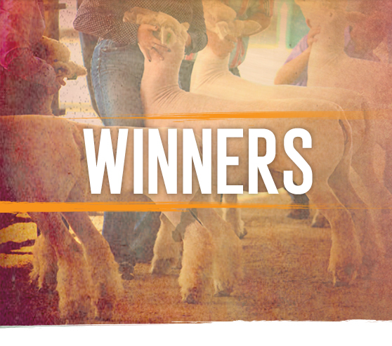 Winners